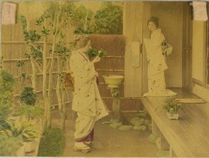 Image description is not available for DU2017.2.11